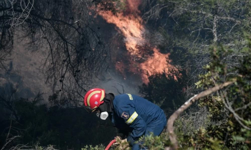 Βουλή: Κατατέθηκε τροπολογία για σύσταση Ειδικών Μονάδων Δασικών Επιχειρήσεων με προσλήψεις 500 «δασοκομάντο»